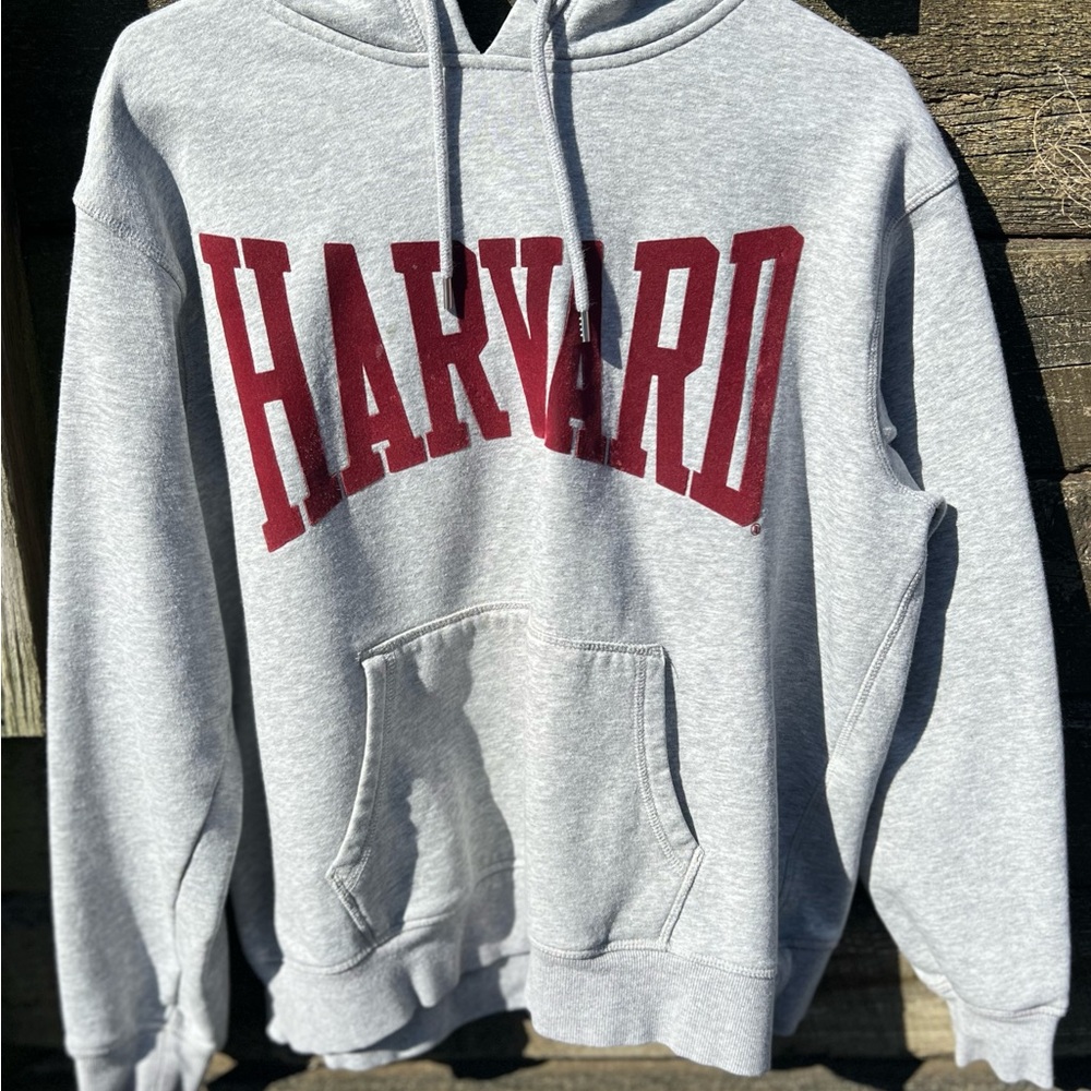 H&M Gray and Red Hoodie Sweater